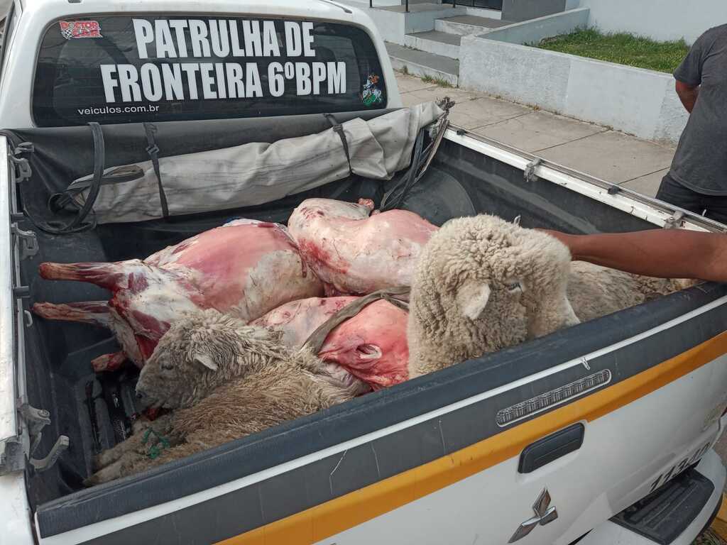 BM - Das quatro ovelhas encontradas, quatro já haviam sido carneadas