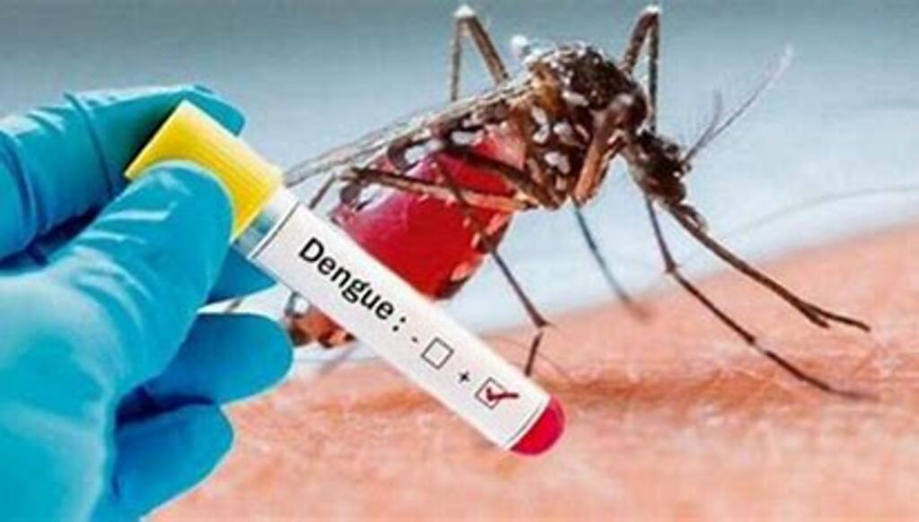 Joinville confirma mais dois óbitos por dengue totalizando 8 mortes desde janeiro 2023