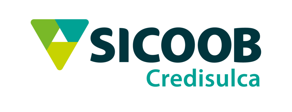 O PAPEL SOCIAL DA CREDISULCA: PORTFOLIO DE PROGRAMAS E PROJETOS