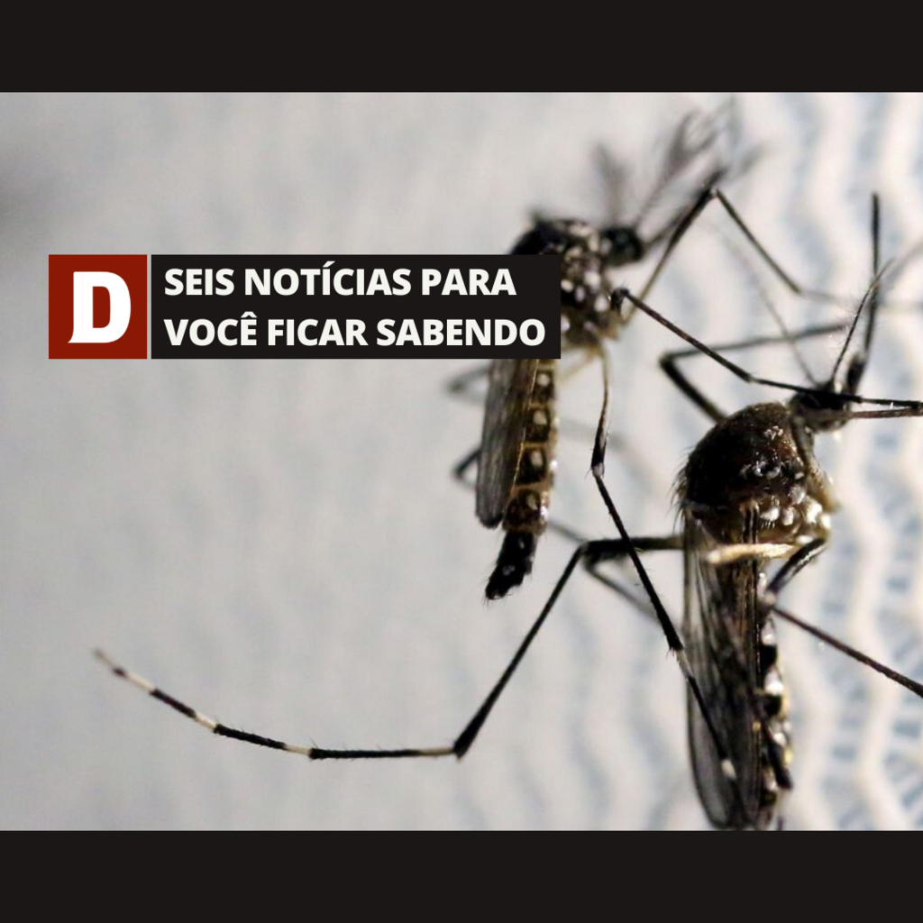 título imagem Santa Maria registra a primeira morte por dengue e outras cinco notícias para você ficar sabendo