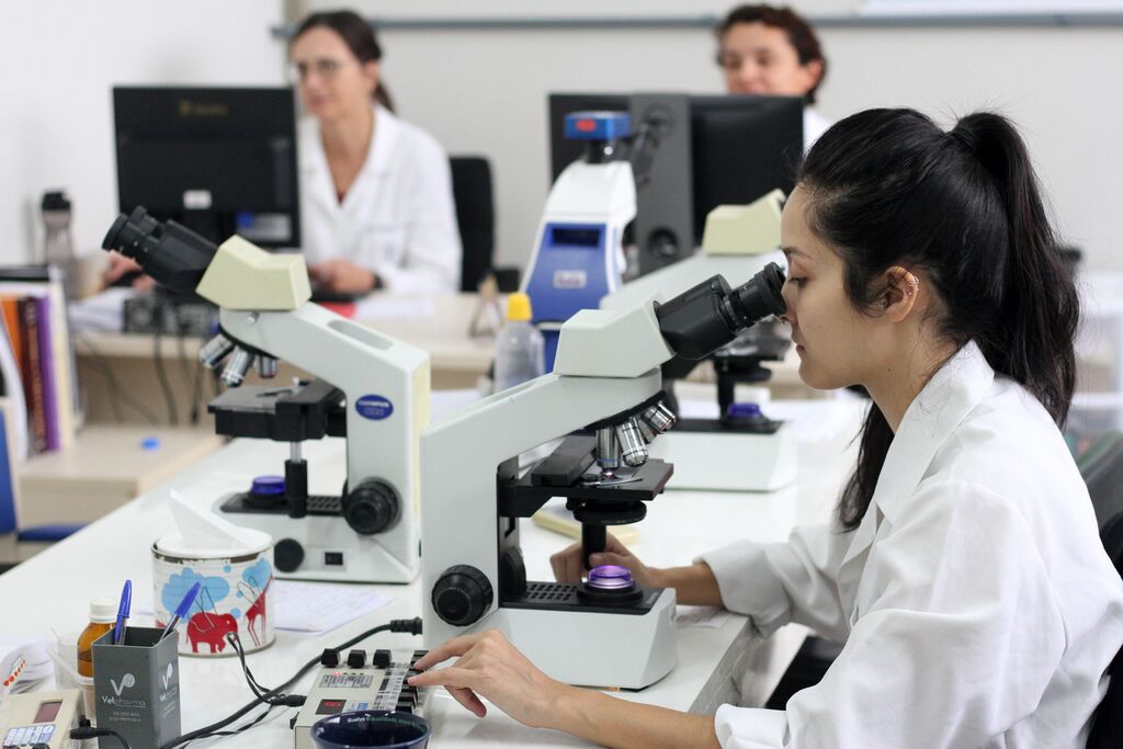 Foto: Jô Folha - DP - Hospital de Clínicas Veterinárias oferece ensino, pesquisa, extensão e atendimento ao público