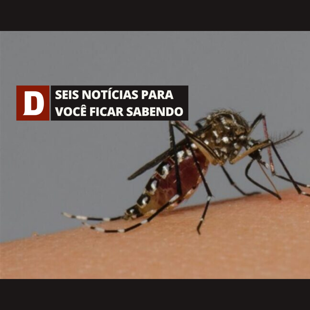 título imagem Mais três óbitos por dengue são confirmados no RS e outras cinco notícias para você ficar sabendo