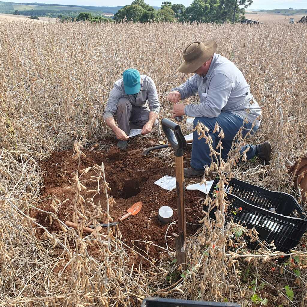 Copercampos e Embrapa Trigo desenvolvem projeto para qualificar o manejo de solo em Santa Catarina