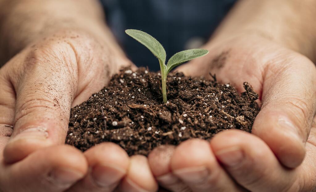 Embrapa oferece cursos online sobre ambiente, produção agrícola e sustentabilidade