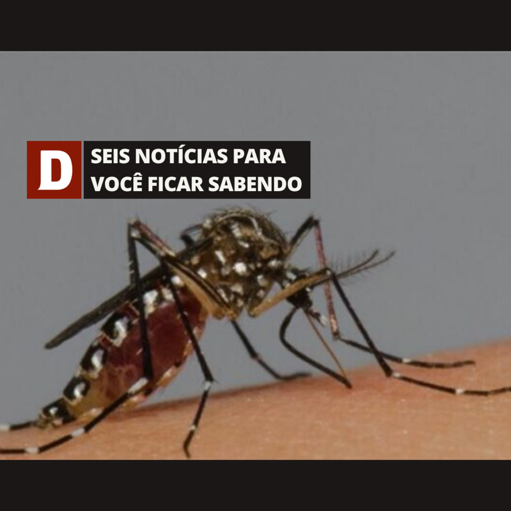 Estado registra 19 óbitos em decorrência da dengue e outras cinco notícias para você ficar sabendo