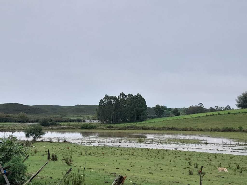 Chuva muda cenário da região