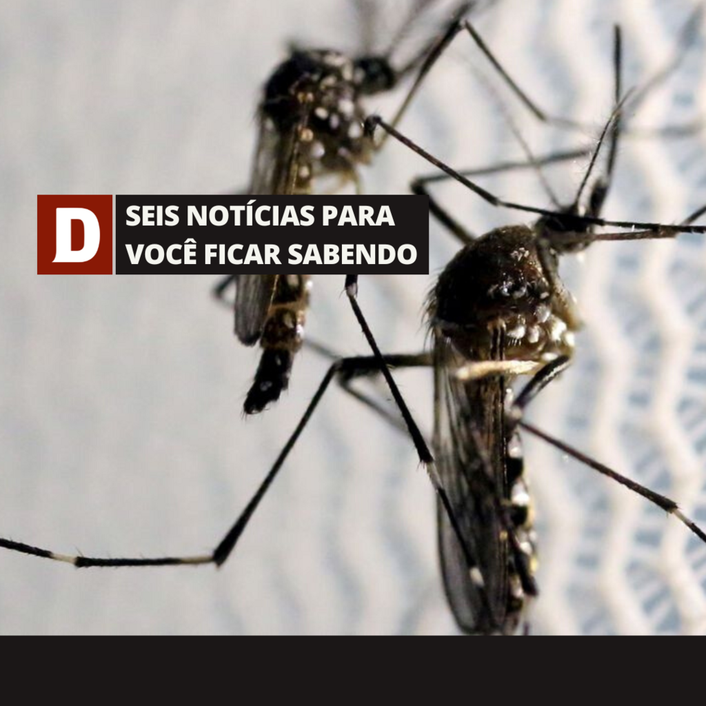 Santa Maria volta a registrar alto número de internações por suspeita de dengue e outras 5 notícias para você ficar sabendo