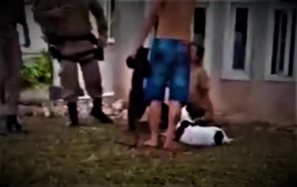 HOMEM AMEAÇA COMPANHEIRA E MATA CACHORRO COM FACADAS
