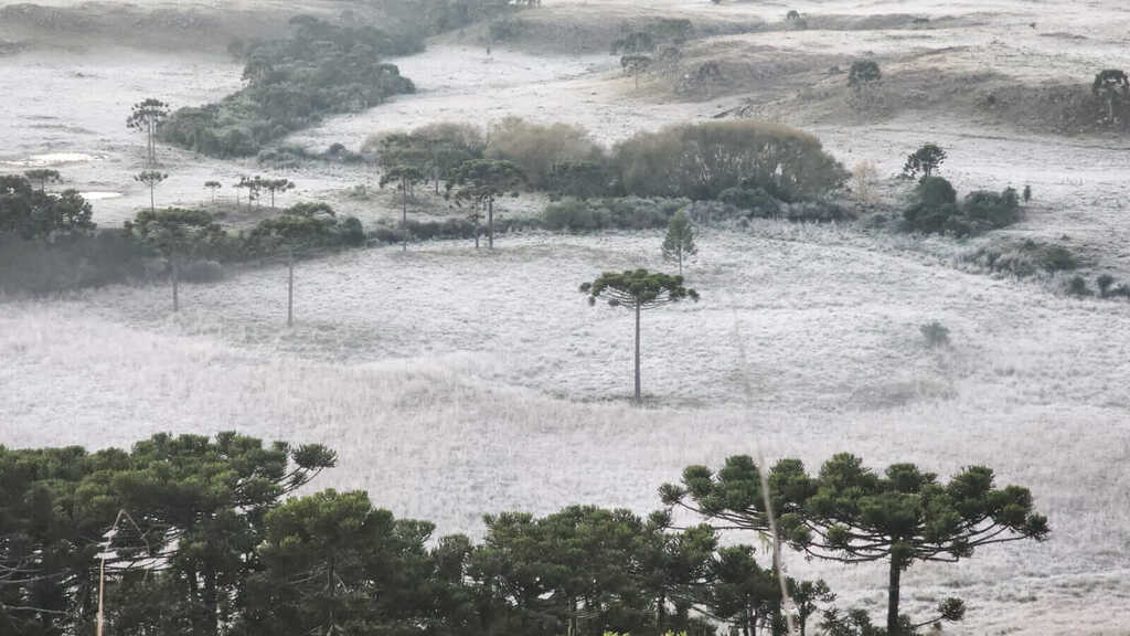 Serra de Santa Catarina amanhece com campos cobertos por geada e temperaturas negativas