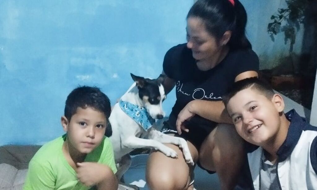 Animais tratados pelo CBEA são adotados e recebem carinho e amor em lares joinvilenses