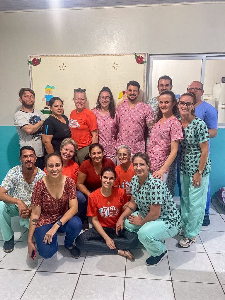 III MUTIRÃO DE CASTRAÇÃO DE PRAIA GRANDE CONTOU COM 183 ANIMAIS BENEFICIADOS