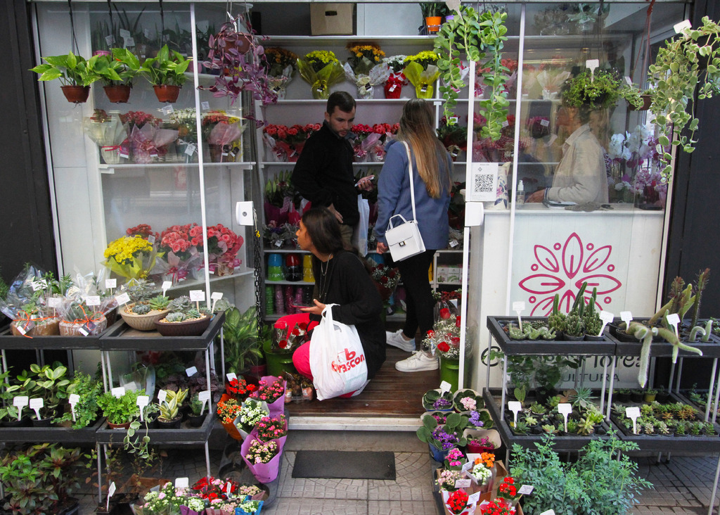 (Foto: Carlos Queiroz) - Tendência. Flores em vaso têm sido bastante procuradas para presentear neste domingo
