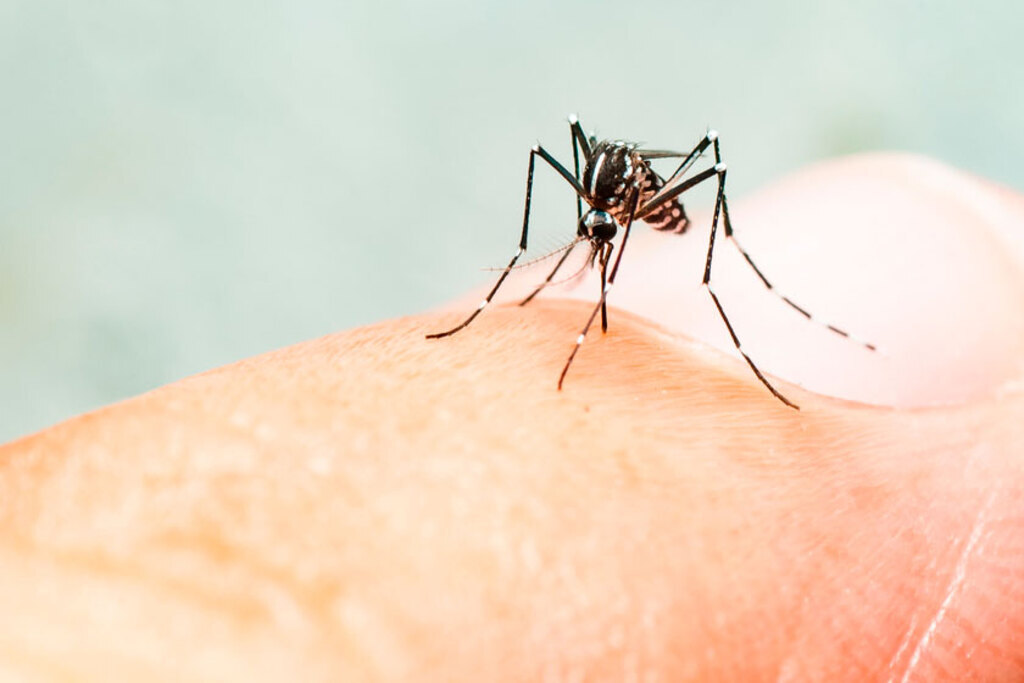 Uruguaiana possui um paciente internado por dengue