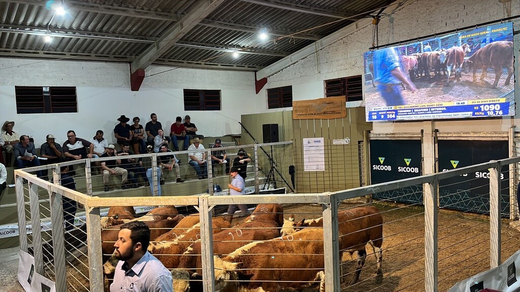 Associação Painelense dos produtores de bovinos – APPBOV tem como objetivo fomentar a pecuária do município de Painel.