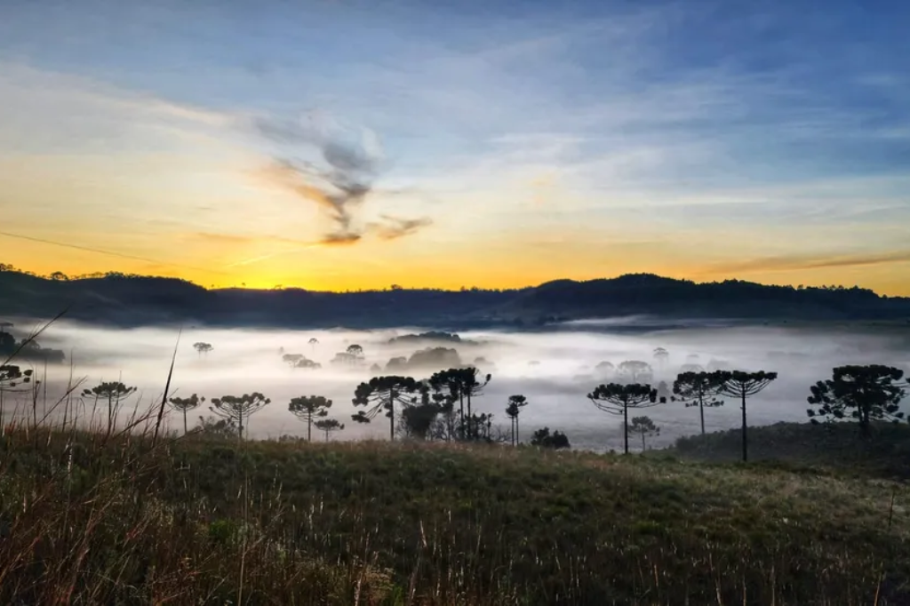 SC deve ter temperaturas negativas com frio intenso até no litoral nesta terça