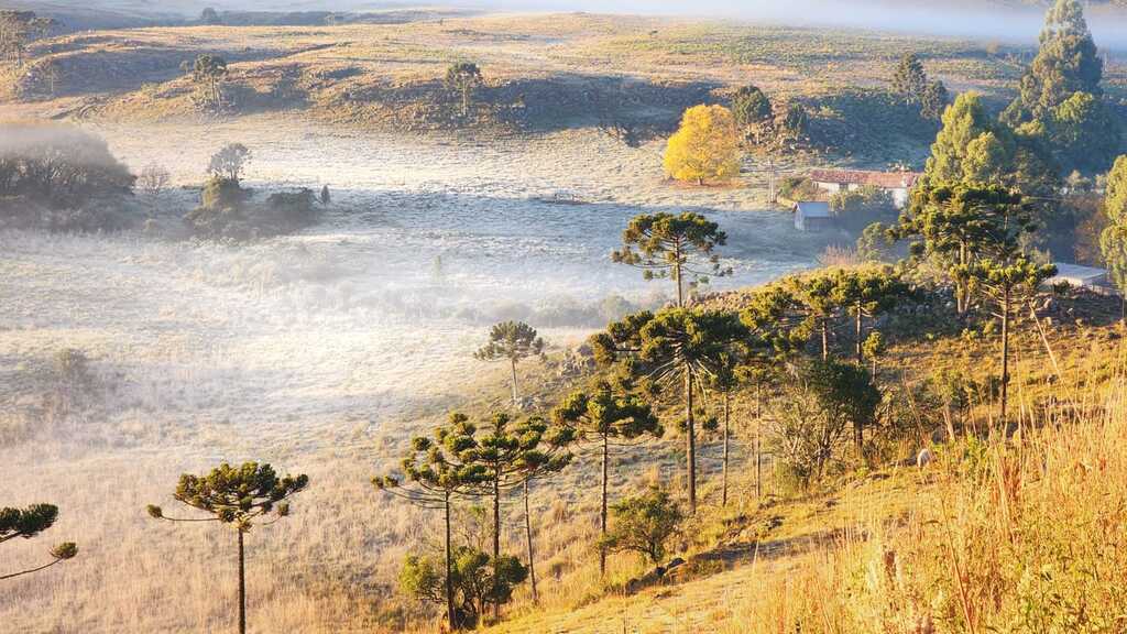 Paisagem amanhece branca da geada na Serra Catarinense