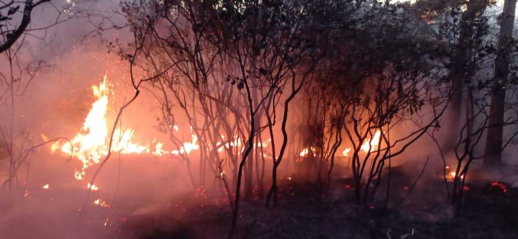 Combate a incêndio em vegetação durou mais de seis horas em Campo Alegre