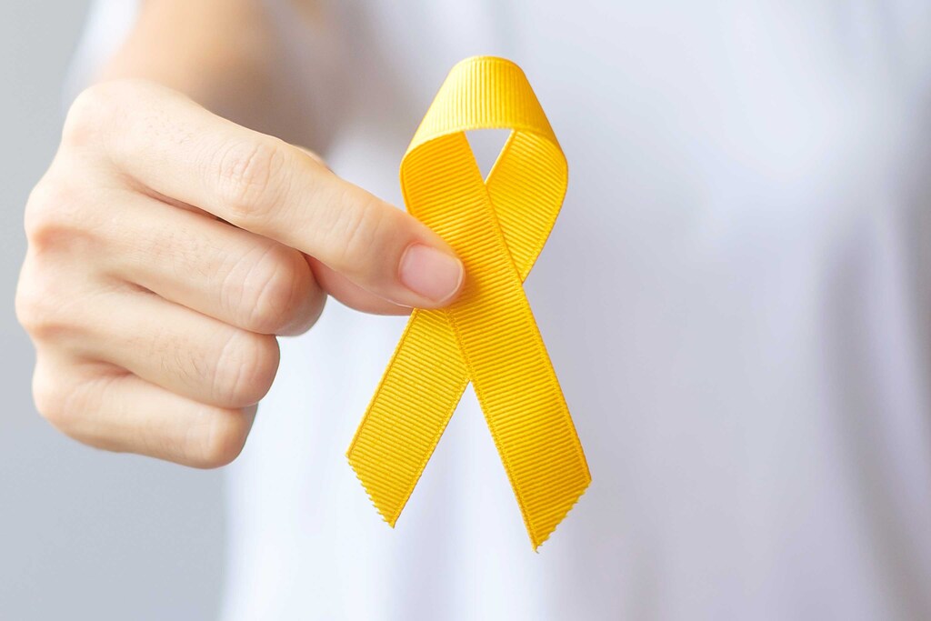 Câmara debate Maio Amarelo nesta quarta-feira