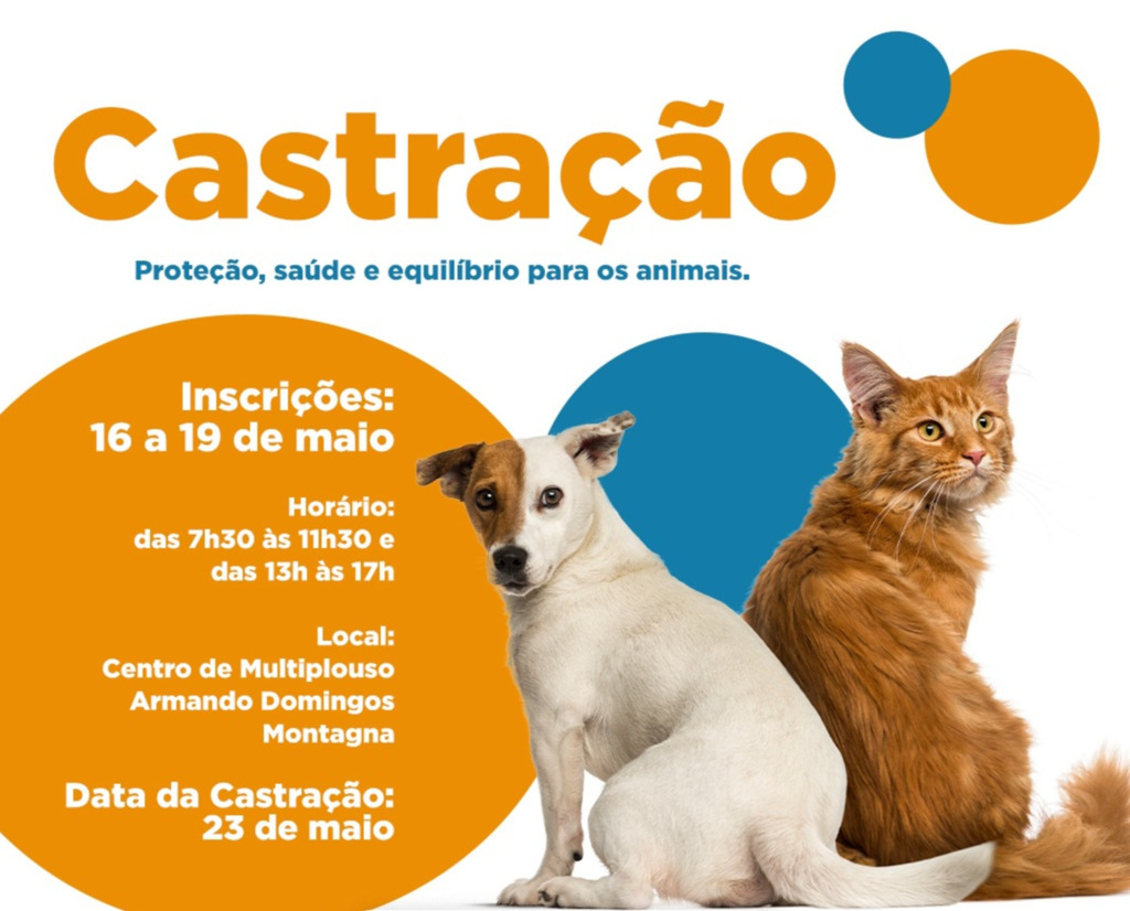 Inscrições abertas para castração de animais em Guaraciaba