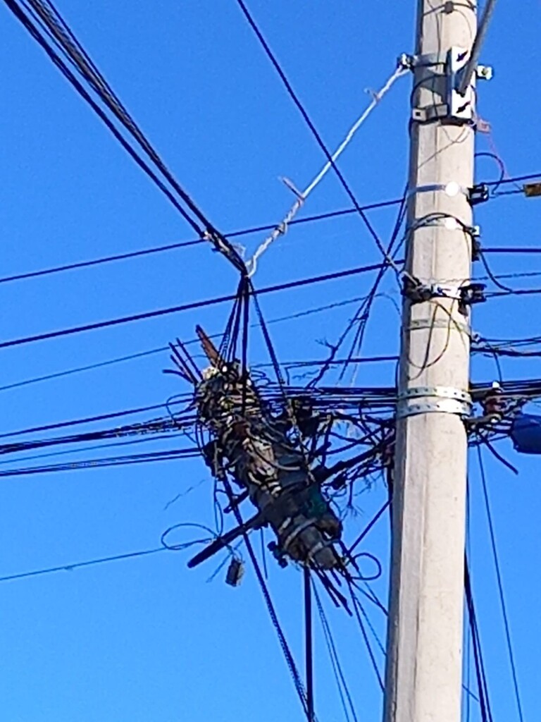 Foto: Divulgação - 