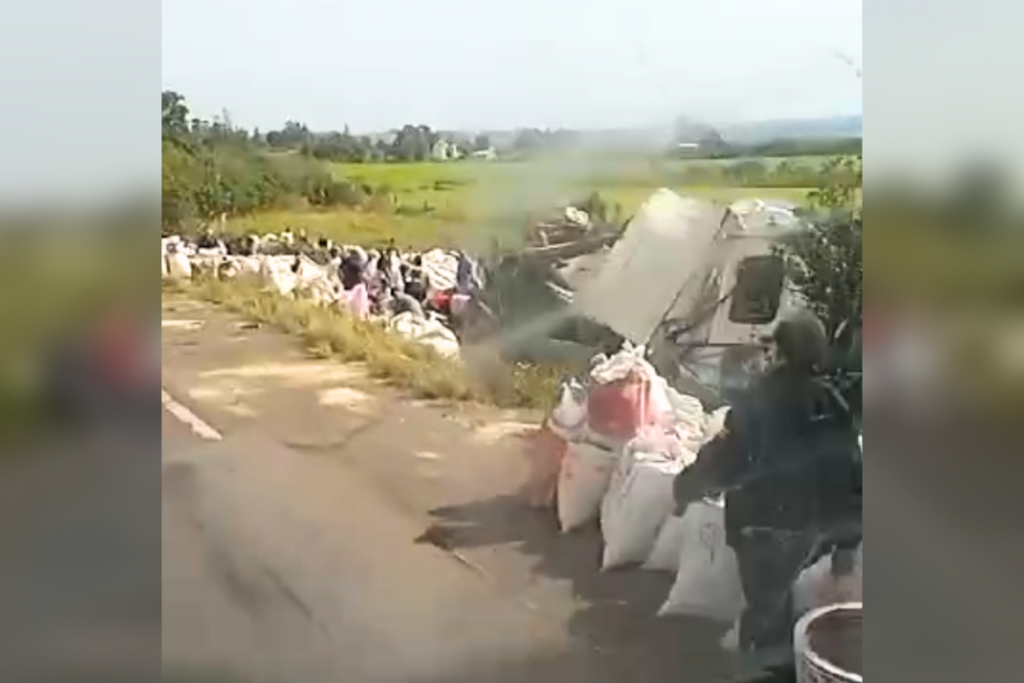 Após tentar furtar carga de caminhão tombado, saqueadores espalham soja na rodovia e fogem em Santa Maria