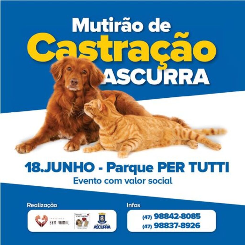 Abertas as inscrições para o mutirão de castração para pets, em Ascurra