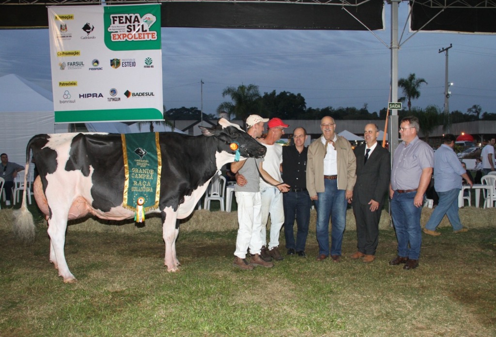 Foto: JM Alvarenga - Divulgação - Santa Clara Letícia 34394 Cacã Doorman foi a grande campeã e vaca suprema da raça