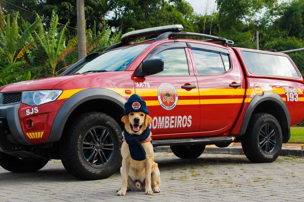 Divulgação | CBMSC - 
