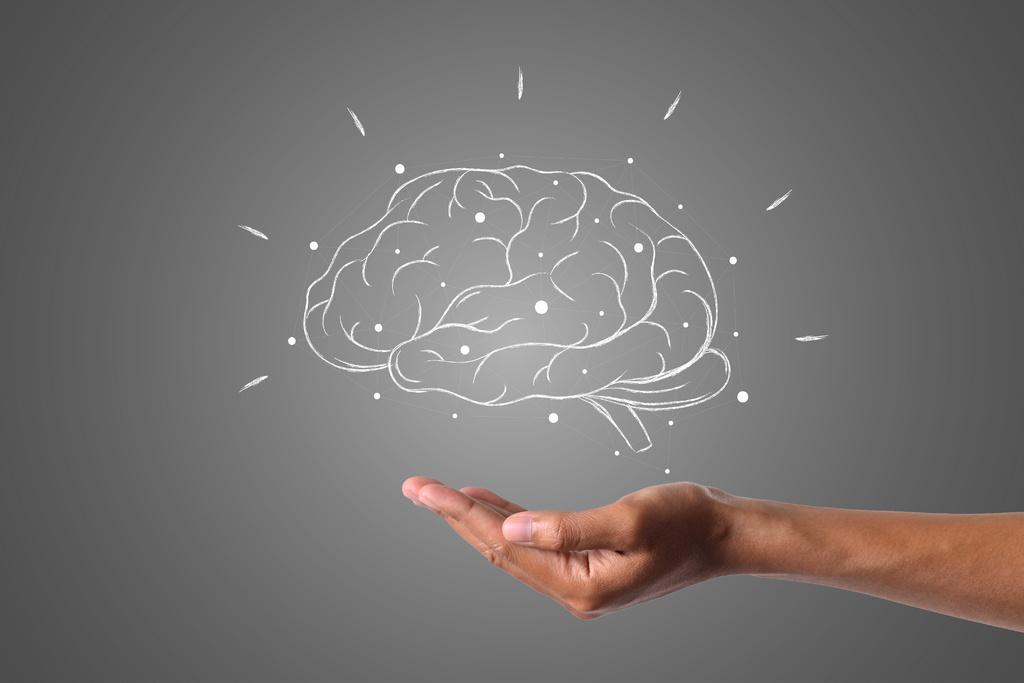 XII Curso de Neurociência está com inscrições abertas