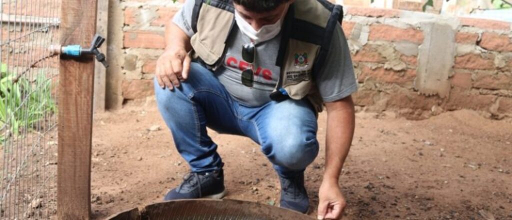 Cachoeira tem um caso de Chikungunya