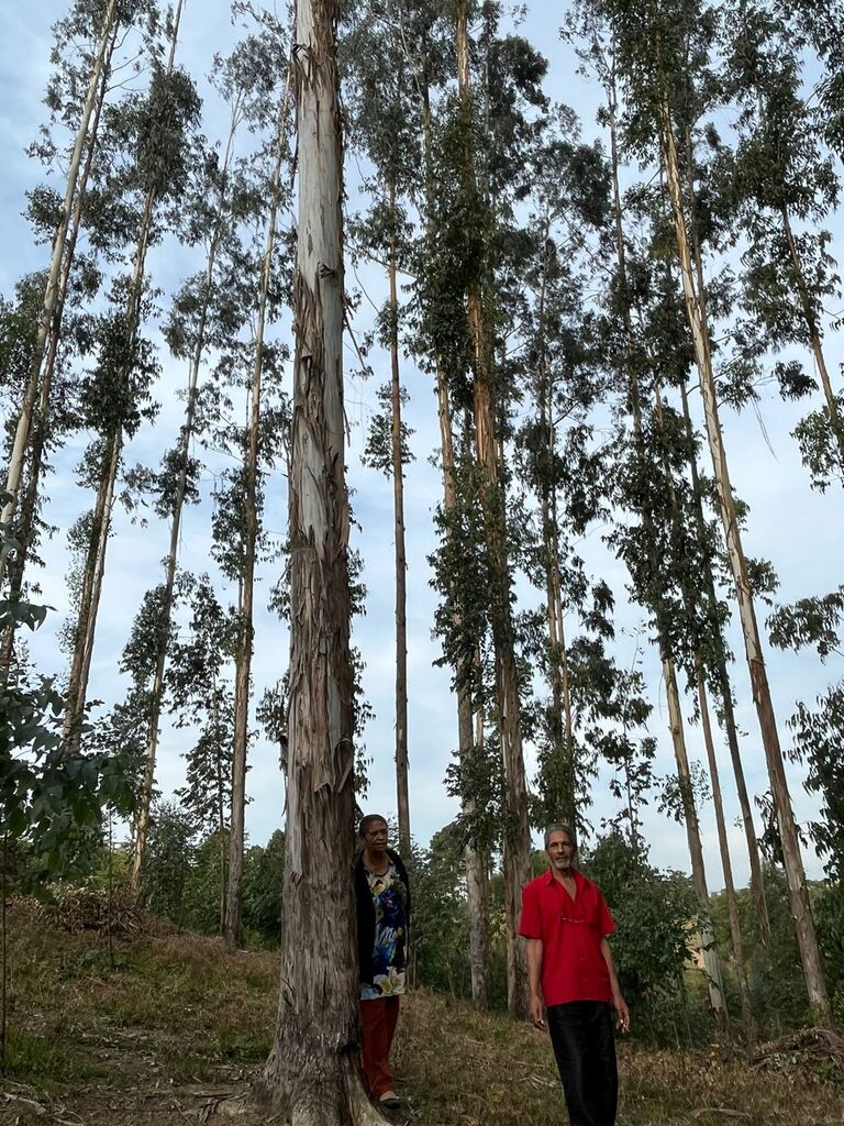 Casal de idoso corre perigo em Otacílio Costa