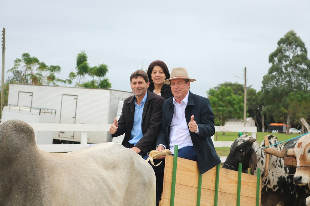 Imagem 4