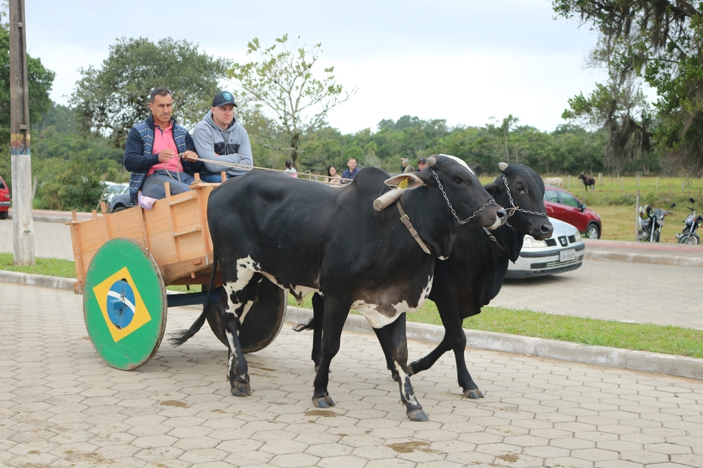 Imagem 155