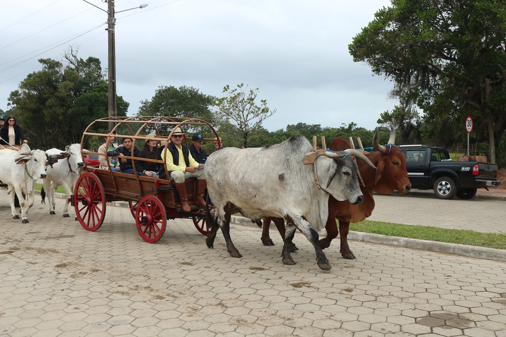 Imagem 195
