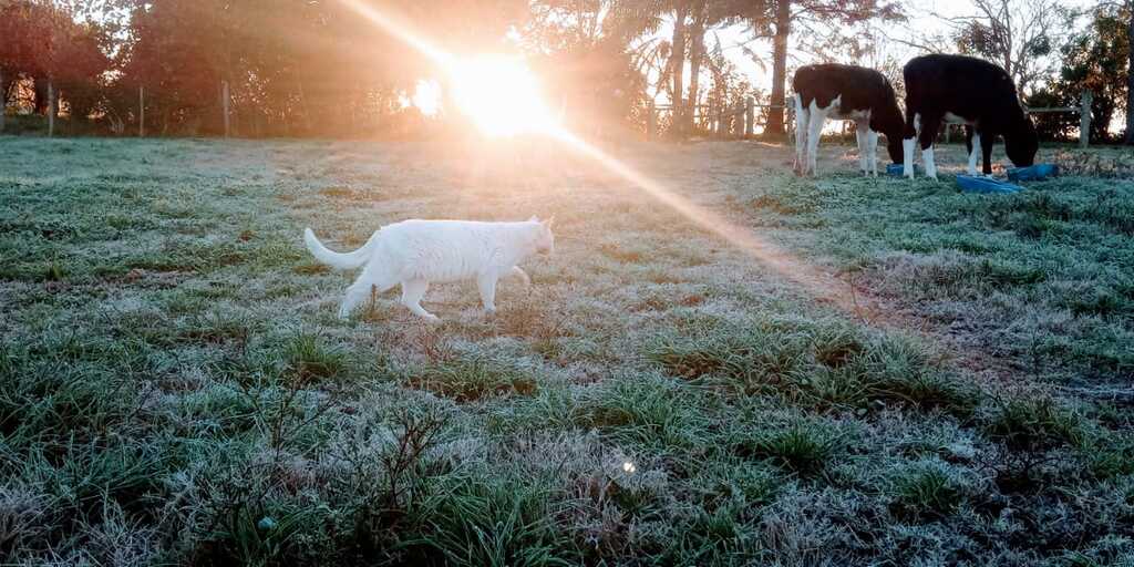 Frio será intenso a partir do dia 10