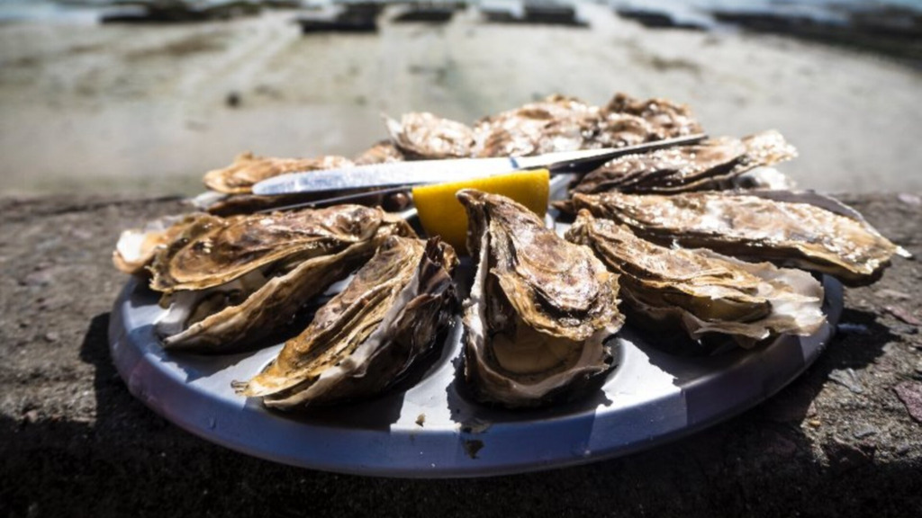 Florianópolis sediará 1º Encontro Brasileiro das Cidades Criativas Unesco da Gastronomia