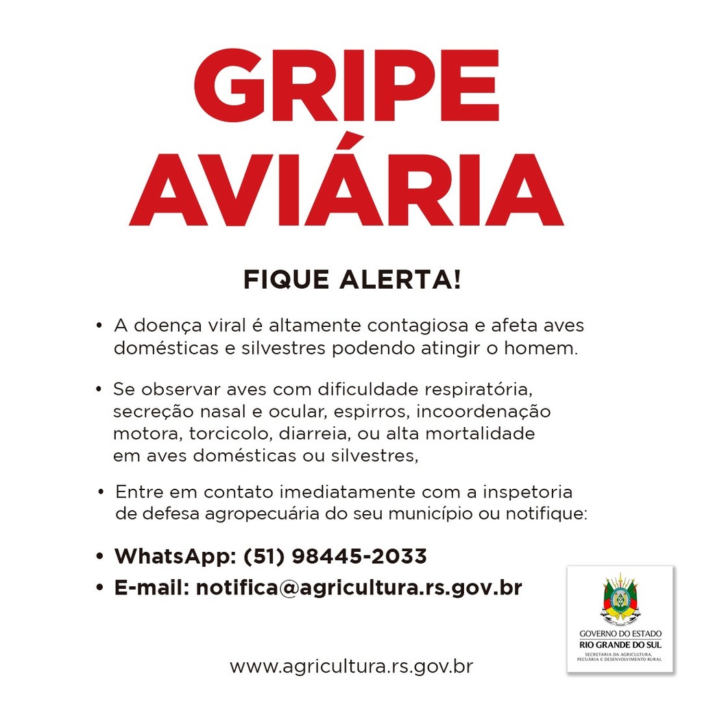GRIPE AVIÁRIA É REGISTRADA NO RIO GRANDE DO SUL