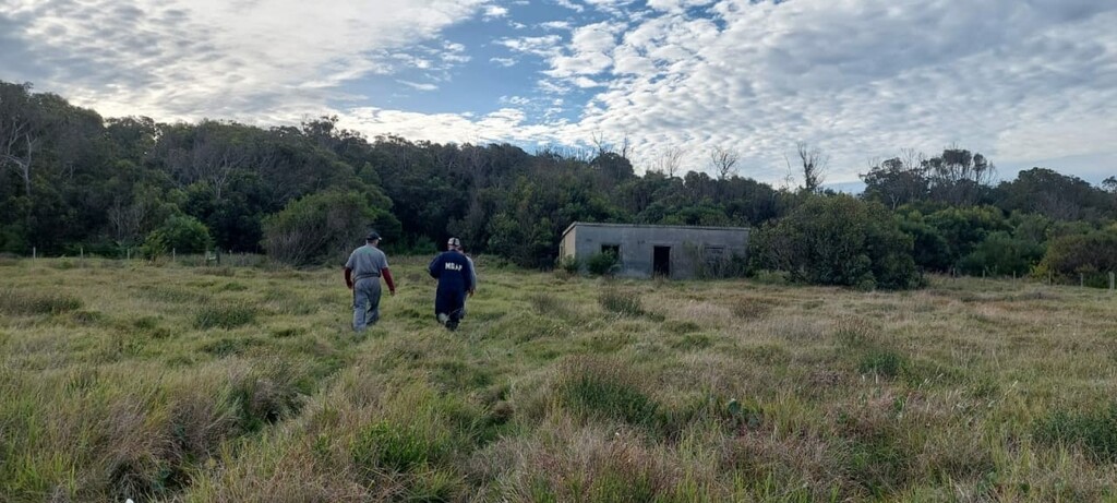 Foto: Divulgação - Seapi - Casas abandonadas servem de esconderijo aos morcegos