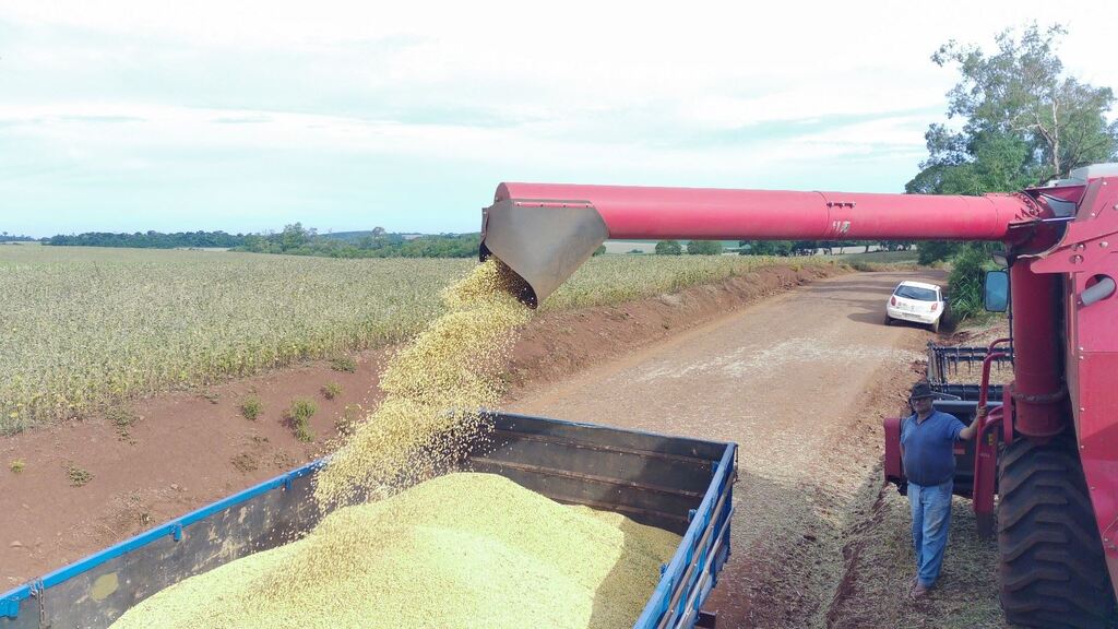 Colheita chega ao fim na região: quebra de 50% na soja e de 4% no arroz