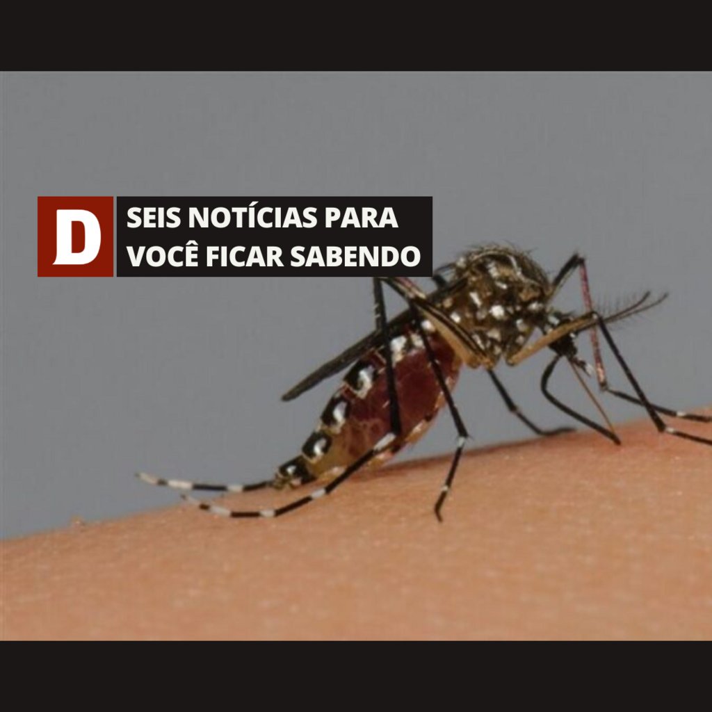 Santa Maria monitora mais de 400 casos suspeitos de dengue e outras 5 notícias para você ficar sabendo