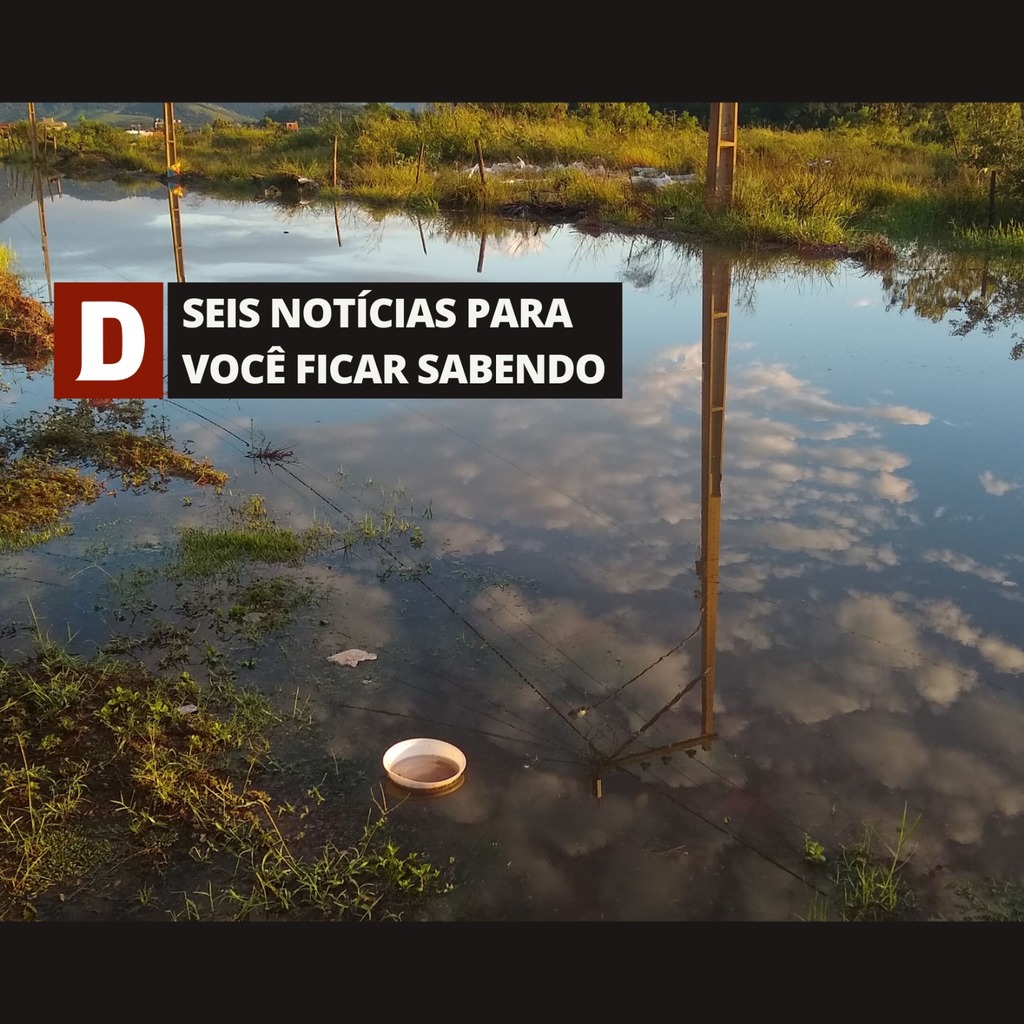 Santa Maria oficializa surto de dengue e outras 5 notícias para você precisa ficar sabendo nesta quarta