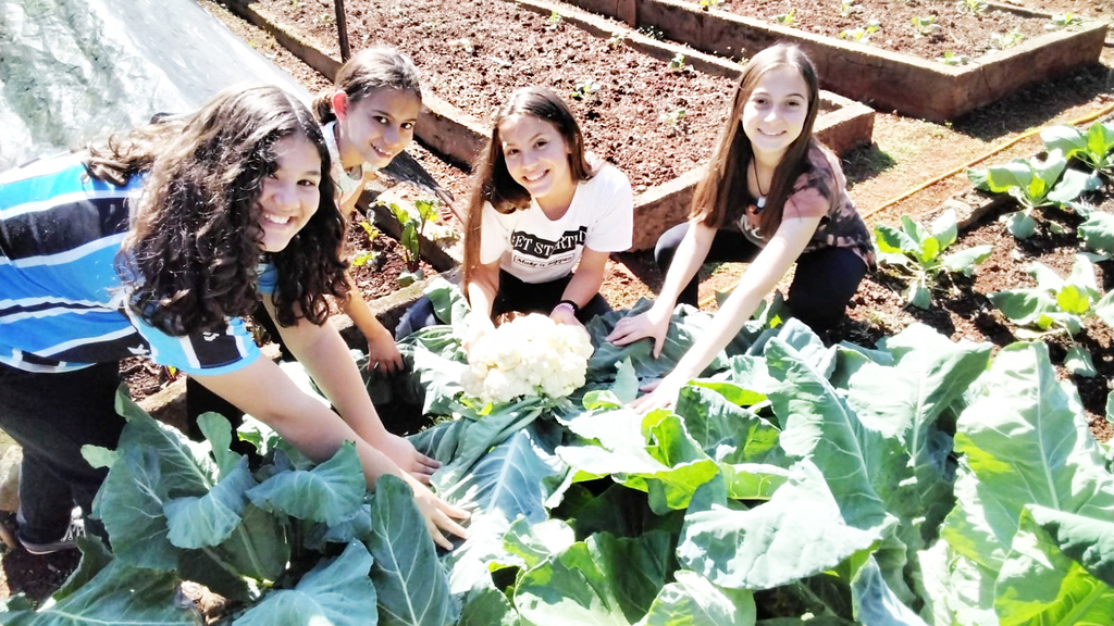 PRODUÇÃO DE ALIMENTOS NATURAIS EM HORTA ESCOLAR DE COMUNIDADE RURAL DE PIRATUBA, ENRIQUECE MERENDA ESCOLAR 

