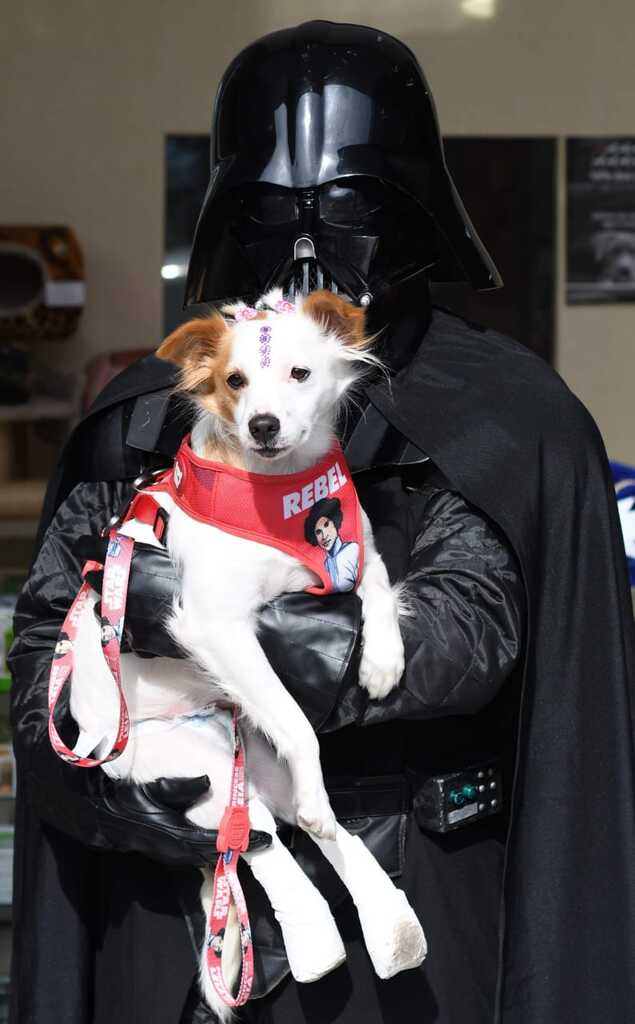 10 anos do projeto: “Darth Vader – Legião do Bem” promove evento solidário à causa animal