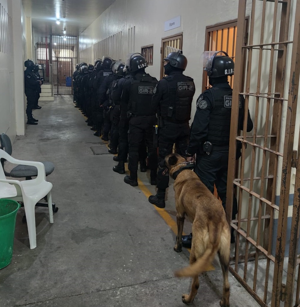 Operação Ratoeira é realizada por órgãos de segurança na Penitenciária Estadual de Santa Maria