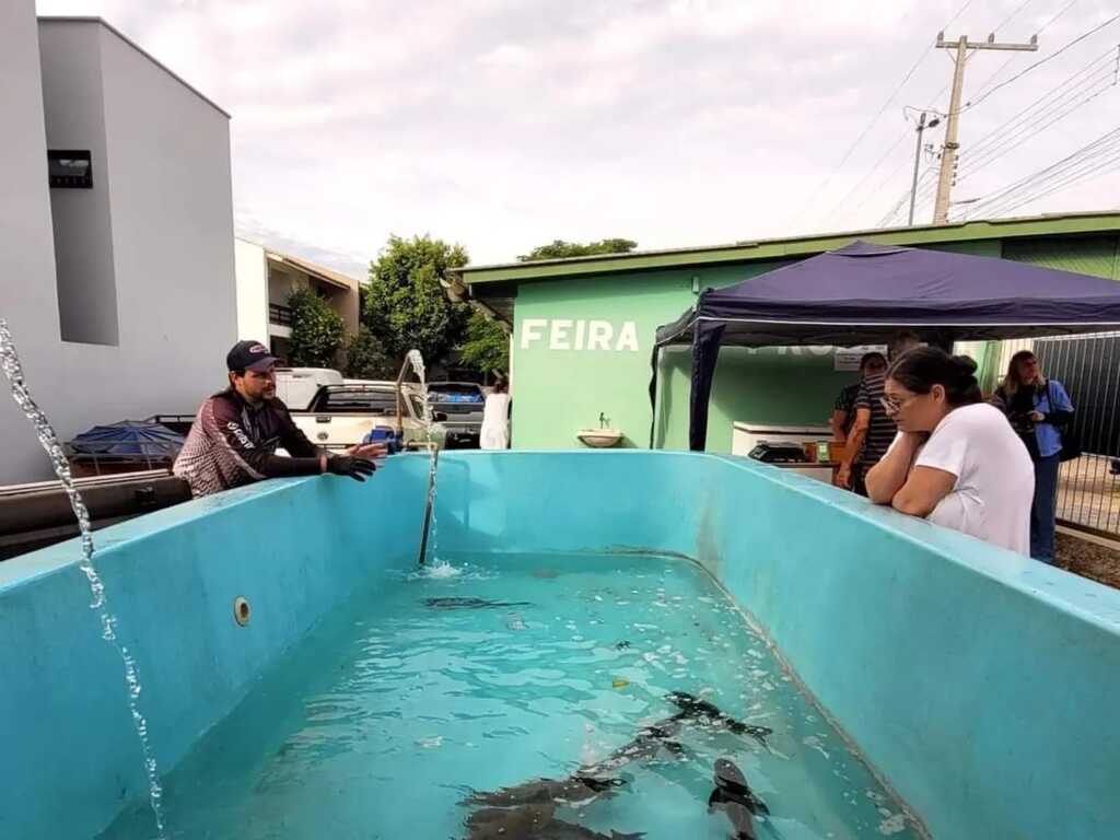 Feira do Peixe de São Pedro do Sul ocorre até quinta-feira