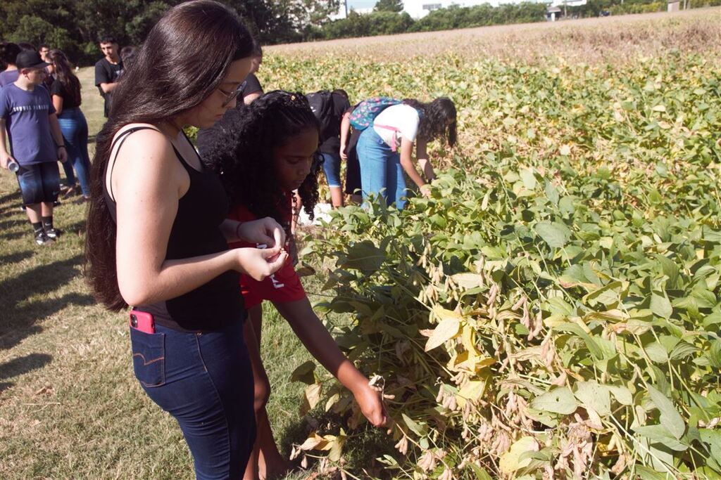 Projeto da UFSM aproxima estudantes do ensino básico com o mundo do agro