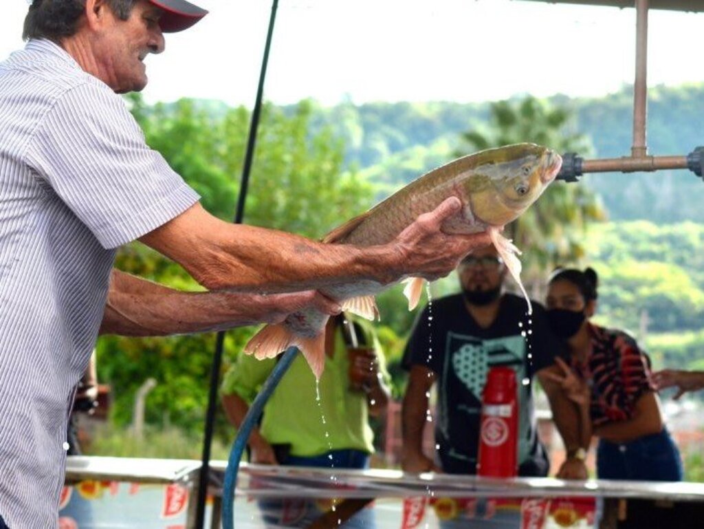 Feira do Peixe Vivo chega à 31ª edição e será realizada de 4 a 7 de abril com apoio da prefeitura de Santa Maria