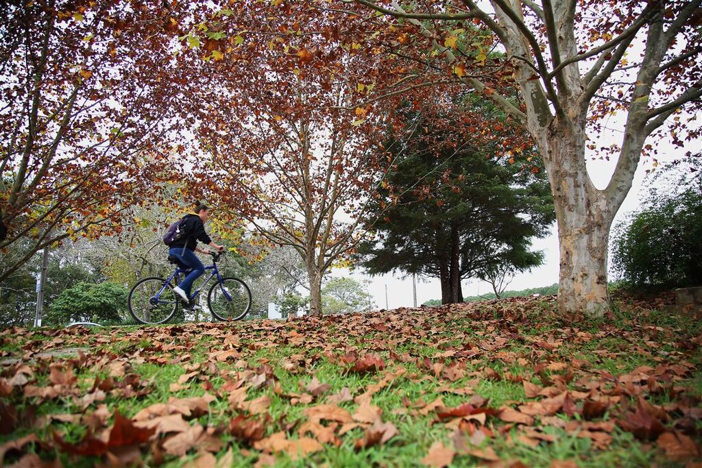 Previsão do tempo: semana deve iniciar com temperaturas mais amenas na Região Central