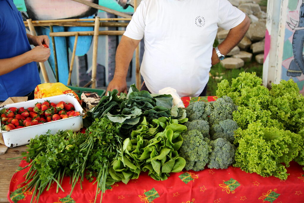 Diário Explica: como conservar alimentos no calor de mais de 30ºC