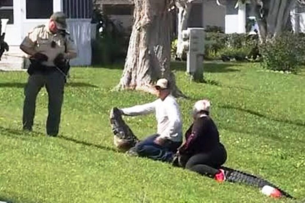 Idosa de 85 anos morre após sofrer ataque de jacaré enquanto passeava com cachorro